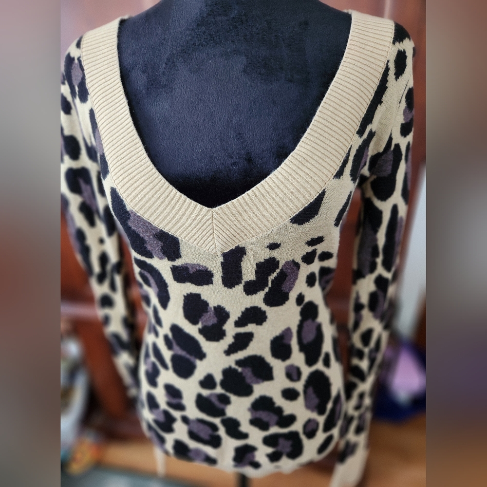 EXPRESS SWEATER